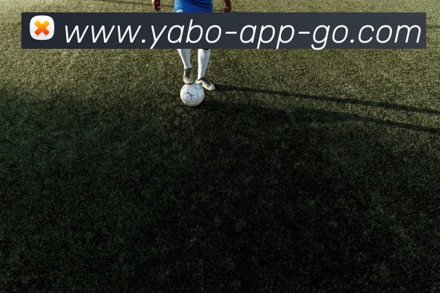 App 展示图
